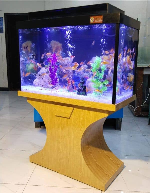 wood pro aquarium 4