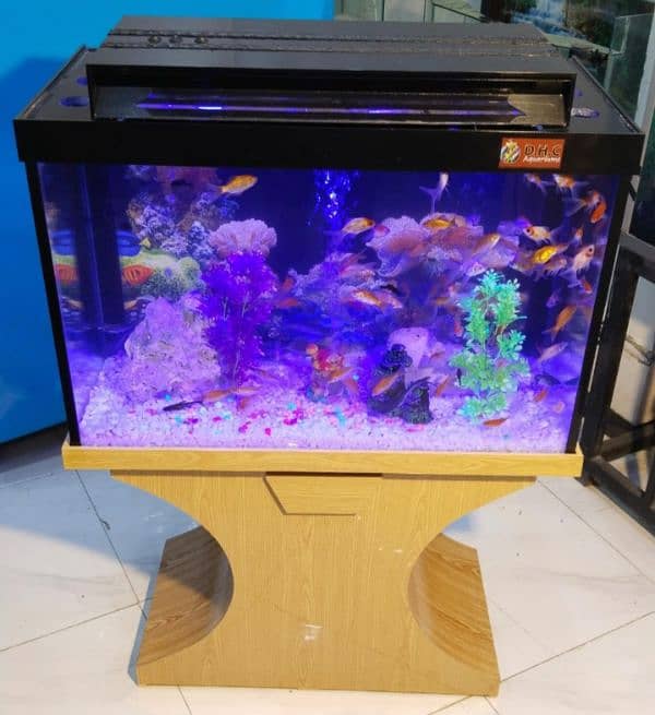 wood pro aquarium 5