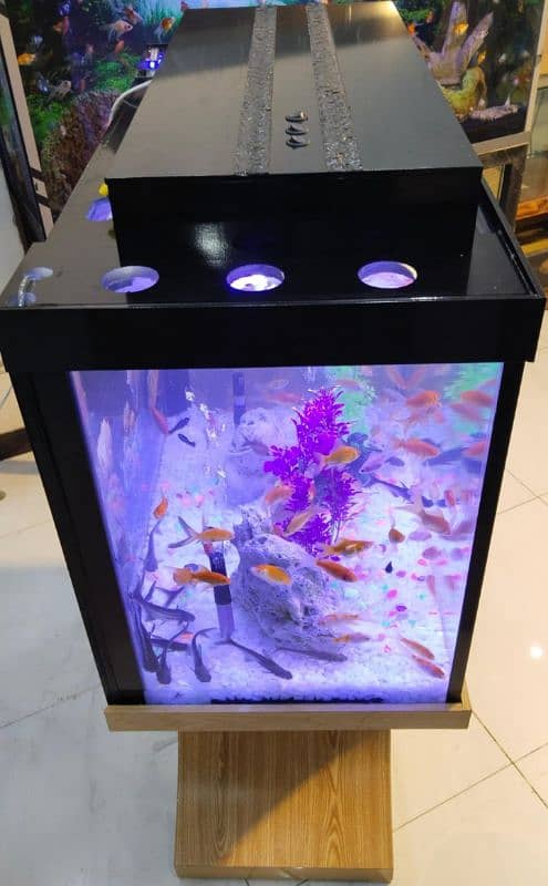 wood pro aquarium 6