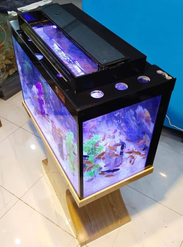 wood pro aquarium 7