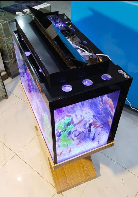 wood pro aquarium 8