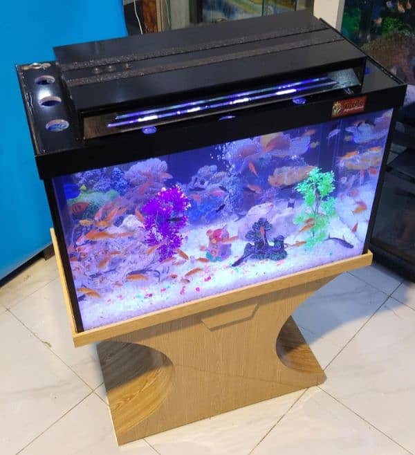 wood pro aquarium 9