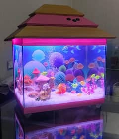 blushing beauty aquarium