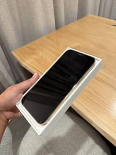 Apple iPhone 12 Pro Max non Pta