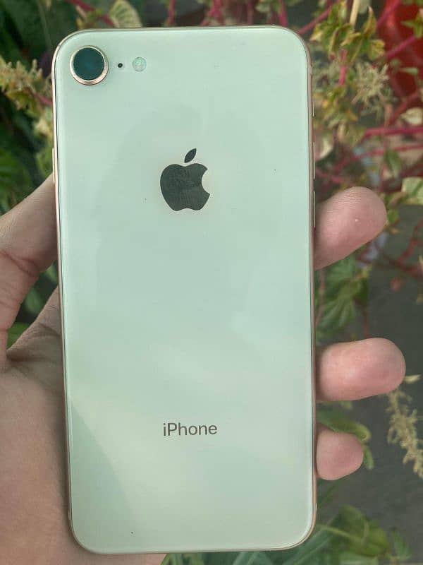 IPhone 8 10/9.5 condition 64Gb 4