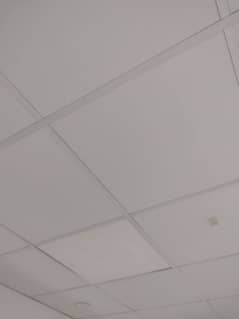 grid celling 2 2