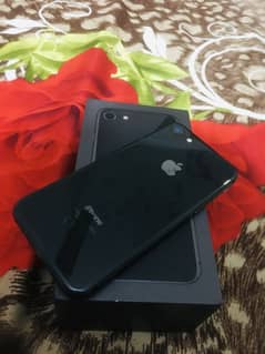 iphone 8 256gb with box