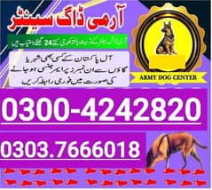 Army dog center mandi bahauddin 03137666018