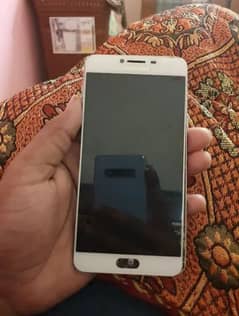 only panel new dalna ha 4gb ram 64gb rom ha