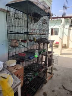 Parrot /lovebird cage