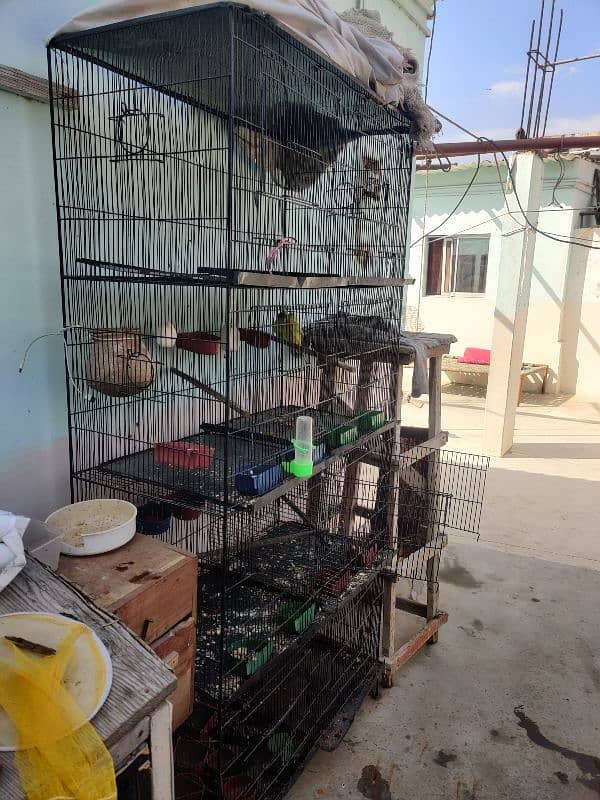 Parrot /lovebird cage 0