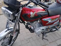 Honda 125 rwp allpunjab number