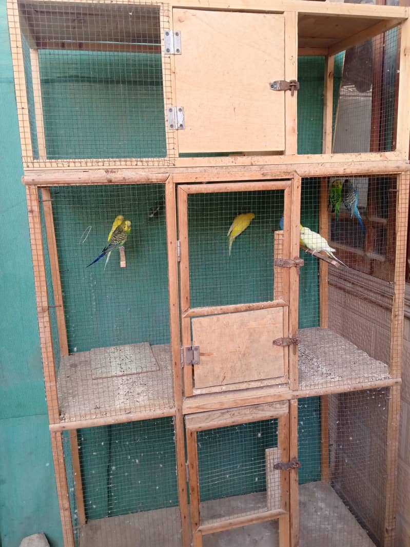 Cages for sale 5