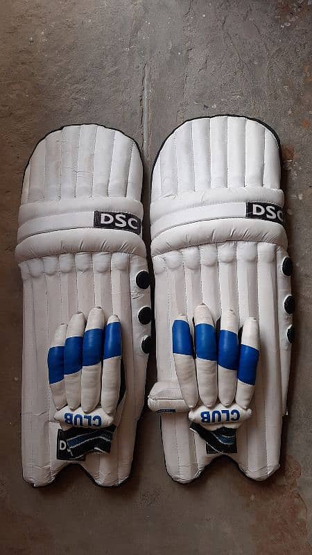 Cricket Pads and Gloves 0