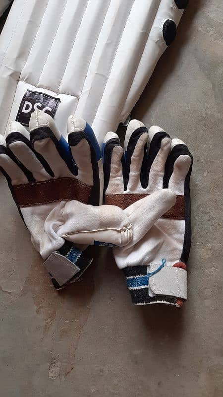 Cricket Pads and Gloves 3