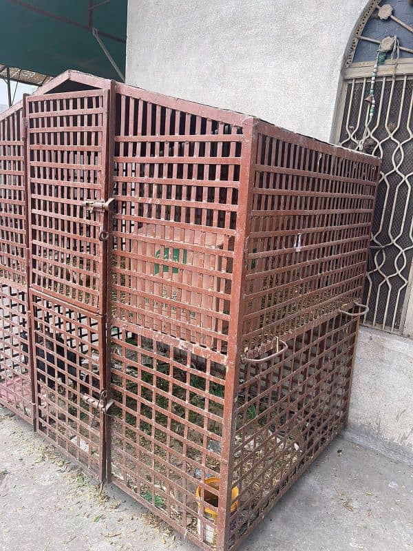 Hen cage ,birds cage for sale 1