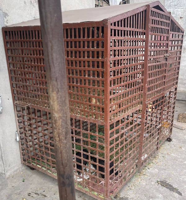 Hen cage ,birds cage for sale 2