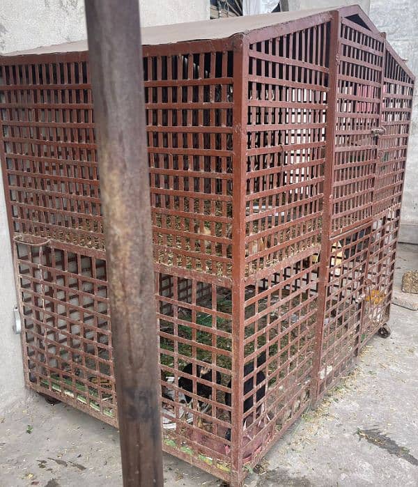 Hen cage ,birds cage for sale 3