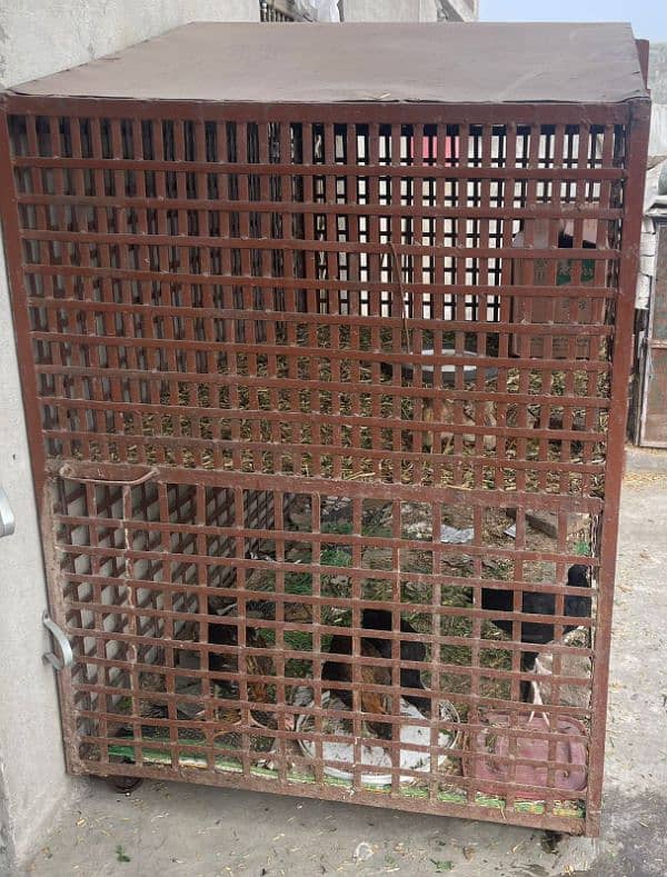 Hen cage ,birds cage for sale 6