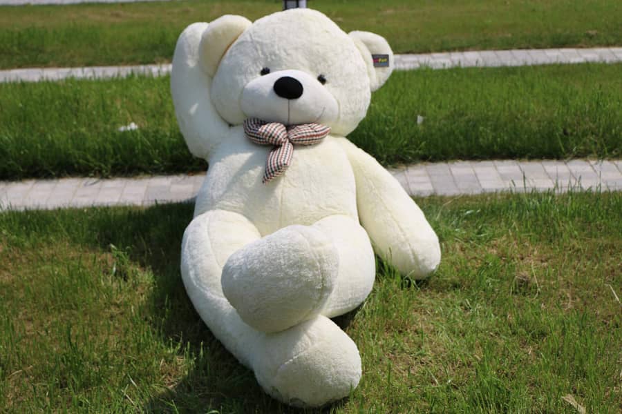 Soft, Fluffy, Premium Quality Teddy Bear in Different Sizes & Colors 2