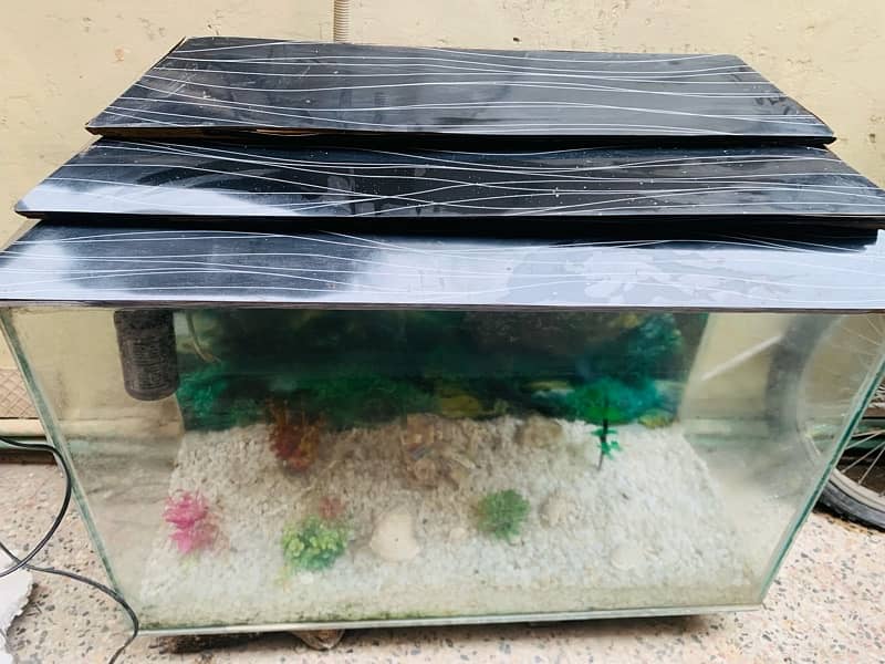 Fish aquarium with accessories 1