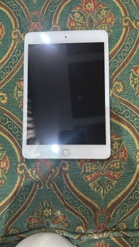 ipad mini 5 0