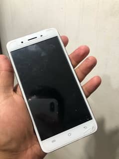 vivo y 55a up for sale