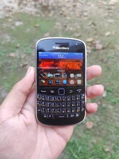 blackberry