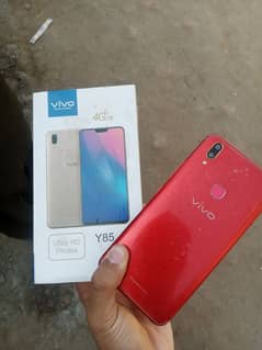 Vivo