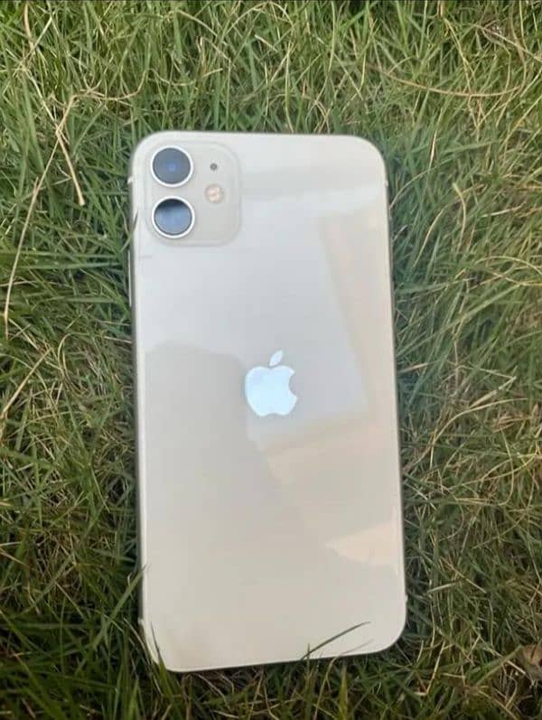 iPhone 11 water pack 2