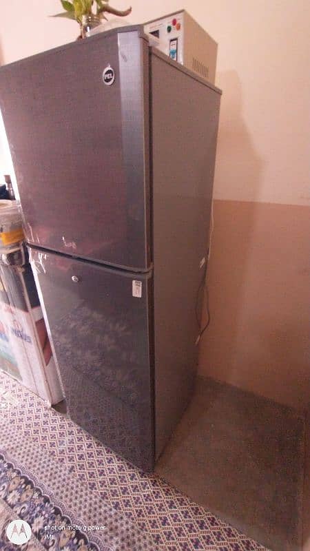 PEL REFRIGERATOR (LIFE) 0