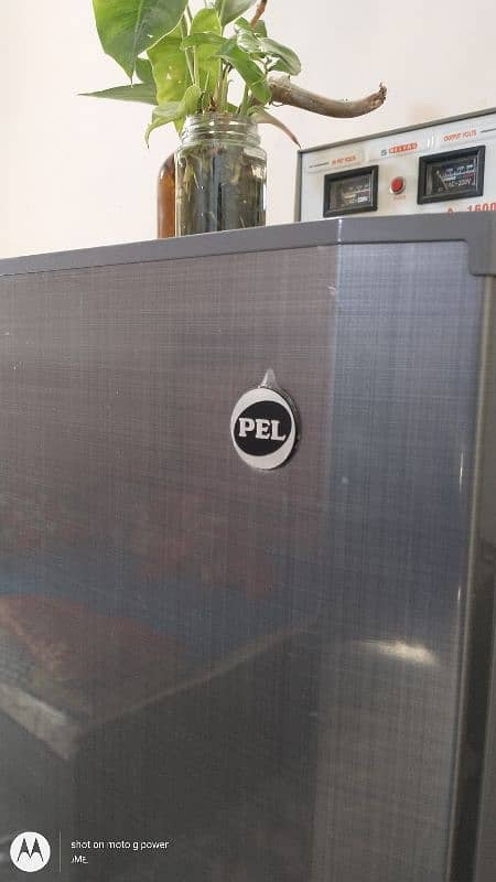 PEL REFRIGERATOR (LIFE) 10