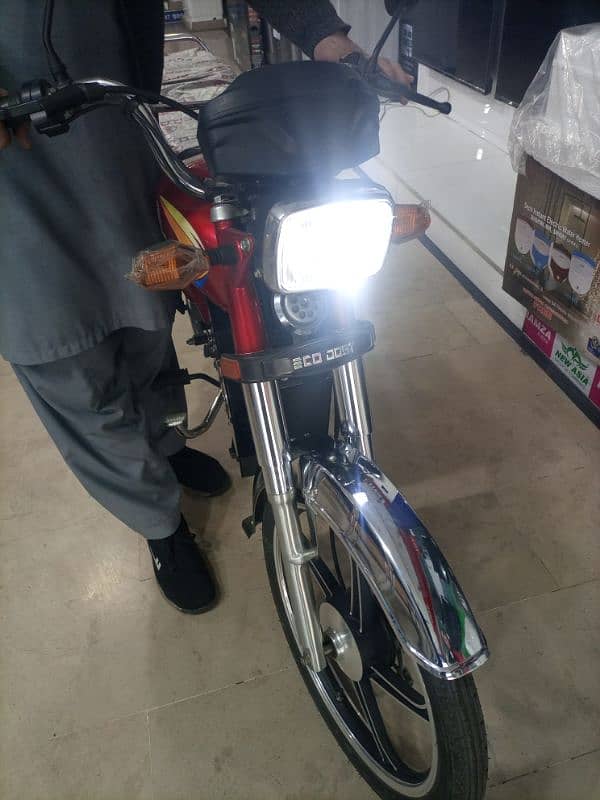 ECO DOST Electric Bike 2