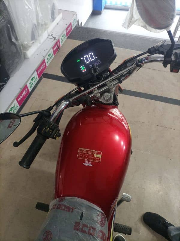 ECO DOST Electric Bike 5