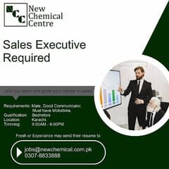 sales executive