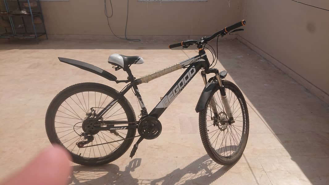 mtb BeGood bike 2