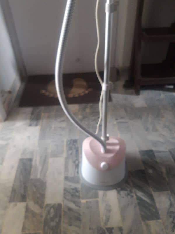 steam iron 2