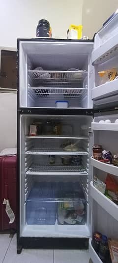 orient fridge