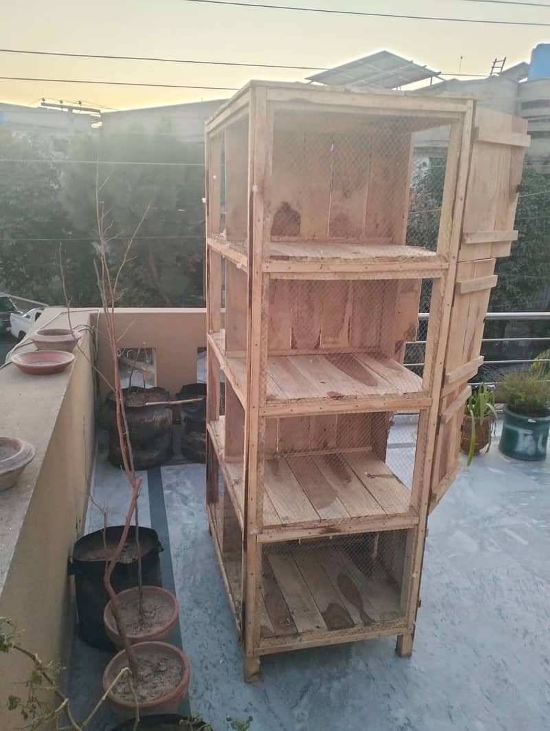 8 portion heavy wood cage 1 month used only perfect condition 7