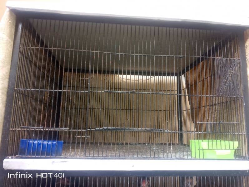 4 portion cage for hens 1