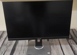 ASUS Proart Monitor