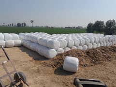 Silage Bag is Available for Sale, Contact 0304-4134548