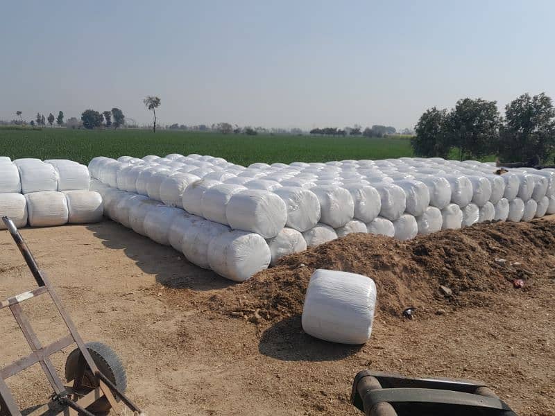 Silage Bag is Available for Sale, Contact 0304-4134548 3