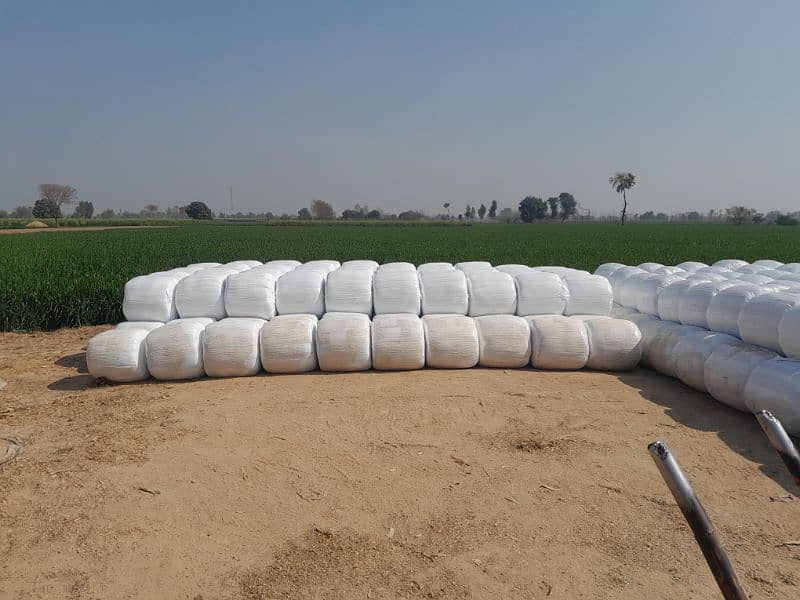 Silage Bag is Available for Sale, Contact 0304-4134548 4