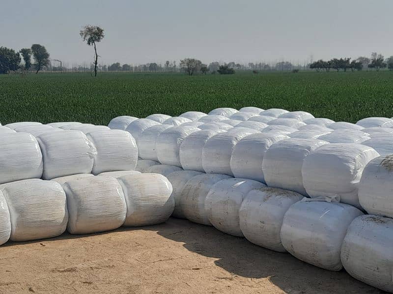 Silage Bag is Available for Sale, Contact 0304-4134548 5