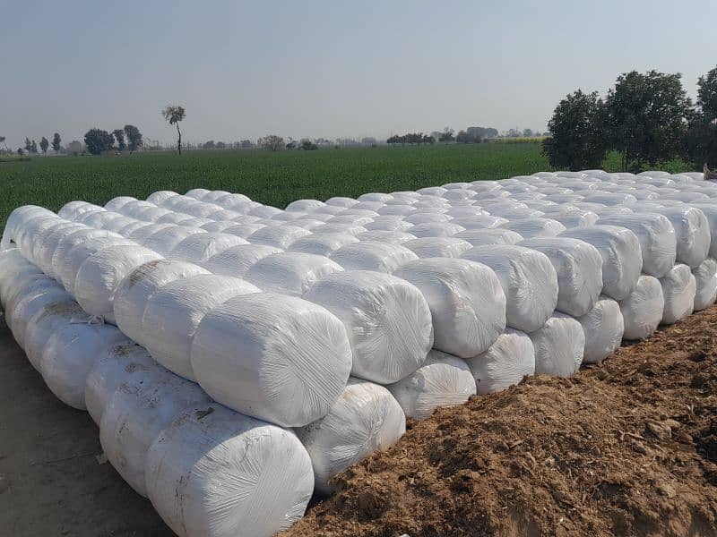 Silage Bag is Available for Sale, Contact 0304-4134548 11