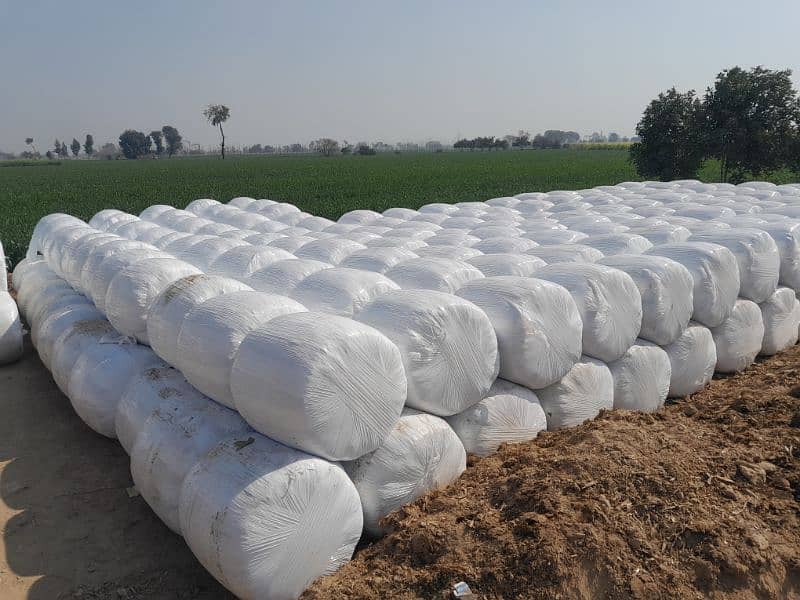 Silage Bag is Available for Sale, Contact 0304-4134548 2