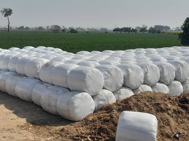 Silage Bag is Available for Sale, Contact 0304-4134548 12