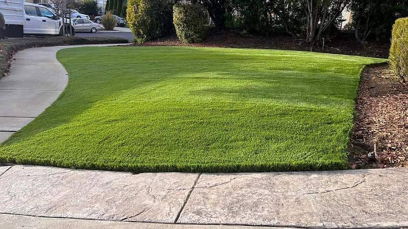 Artificial Grass| Grass Carpet | American grass carpet | Astro turf 4