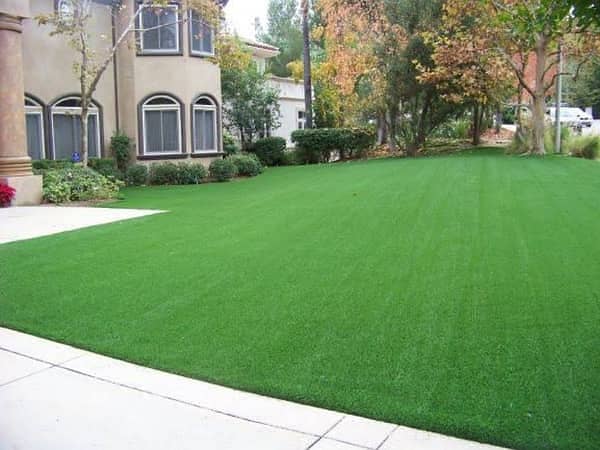 Artificial Grass| Grass Carpet | American grass carpet | Astro turf 8